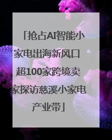 抢占AI智能小家电出海新风口 超100家跨境卖家探访慈溪小家电产业带