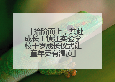 拾阶而上，共赴成长！镇江实验学校十岁成长仪式让童年更有温度