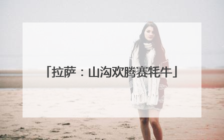 拉萨：山沟欢腾赛牦牛
