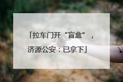 拉车门开“盲盒”，济源公安：已拿下