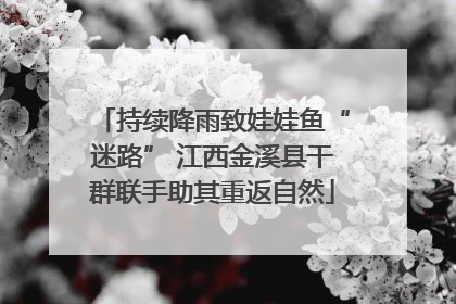 持续降雨致娃娃鱼“迷路” 江西金溪县干群联手助其重返自然