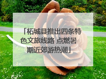 柘城县推出四条特色文旅线路 点燃暑期近郊游热潮