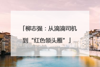 柳志强：从滴滴司机到“红色领头雁”