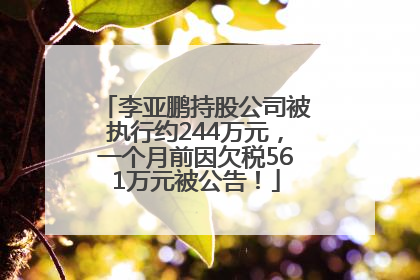 李亚鹏持股公司被执行约244万元，一个月前因欠税561万元被公告！