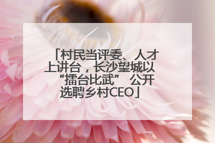 村民当评委、人才上讲台，长沙望城以“擂台比武” 公开选聘乡村CEO