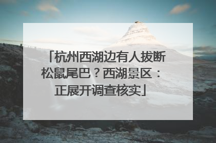 杭州西湖边有人拔断松鼠尾巴？西湖景区：正展开调查核实