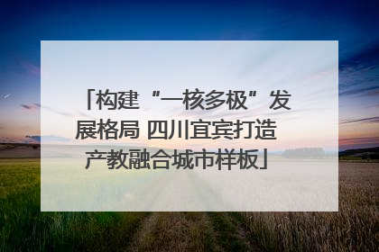 构建“一核多极”发展格局 四川宜宾打造产教融合城市样板