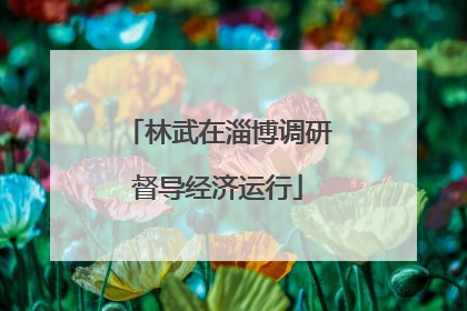 林武在淄博调研督导经济运行