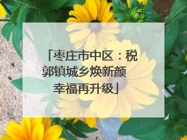 枣庄市中区：税郭镇城乡焕新颜 幸福再升级