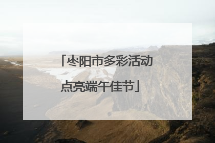 枣阳市多彩活动点亮端午佳节