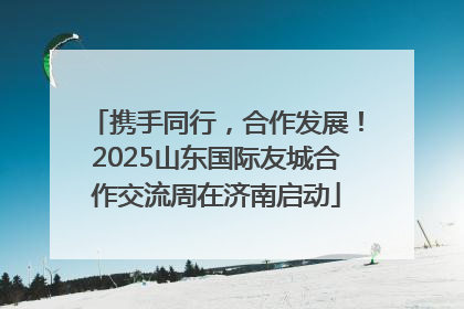 携手同行，合作发展！2025山东国际友城合作交流周在济南启动