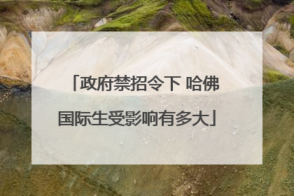 政府禁招令下 哈佛国际生受影响有多大