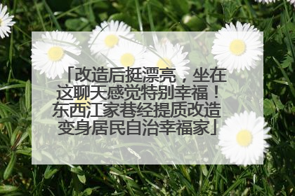 改造后挺漂亮，坐在这聊天感觉特别幸福！东西江家巷经提质改造变身居民自治幸福家
