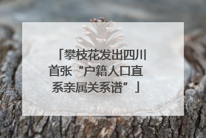 攀枝花发出四川首张“户籍人口直系亲属关系谱”