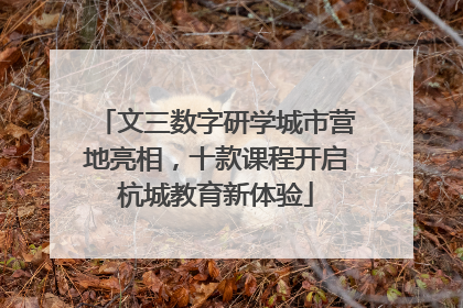 文三数字研学城市营地亮相，十款课程开启杭城教育新体验