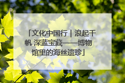 文化中国行｜浪起千帆 深蓝宝藏——博物馆里的海丝遗珍