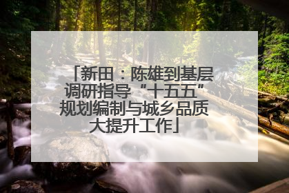 新田：陈雄到基层调研指导“十五五”规划编制与城乡品质大提升工作