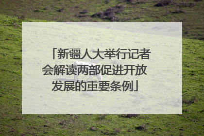 新疆人大举行记者会解读两部促进开放发展的重要条例