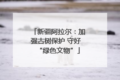 新疆阿拉尔：加强古树保护 守好“绿色文物”