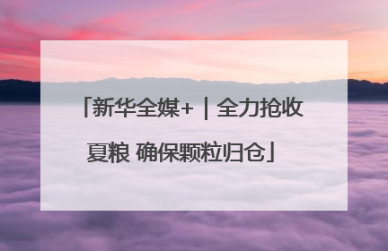 新华全媒+｜全力抢收夏粮 确保颗粒归仓