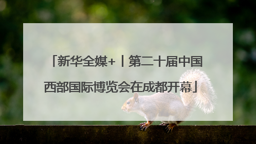 新华全媒+丨第二十届中国西部国际博览会在成都开幕