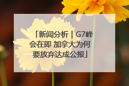 新闻分析｜G7峰会在即 加拿大为何要放弃达成公报