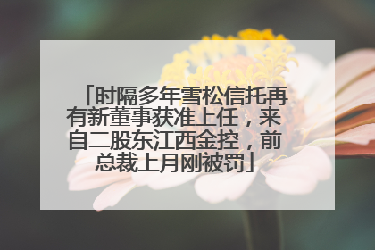 时隔多年雪松信托再有新董事获准上任，来自二股东江西金控，前总裁上月刚被罚