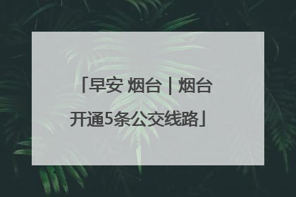 早安 烟台｜烟台开通5条公交线路
