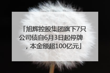 旭辉控股集团旗下7只公司债自6月3日起停牌，本金额超100亿元
