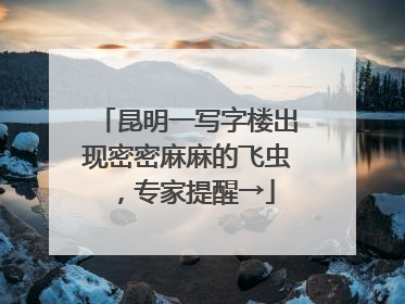 昆明一写字楼出现密密麻麻的飞虫，专家提醒→