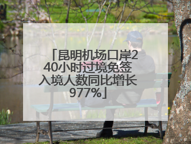 昆明机场口岸240小时过境免签入境人数同比增长977%