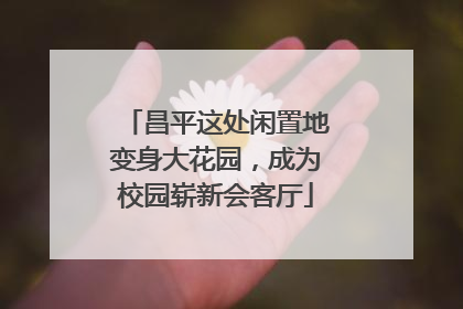 昌平这处闲置地变身大花园，成为校园崭新会客厅