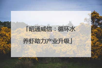 昭通威信：循环水养虾助力产业升级