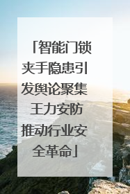 智能门锁夹手隐患引发舆论聚集 王力安防推动行业安全革命
