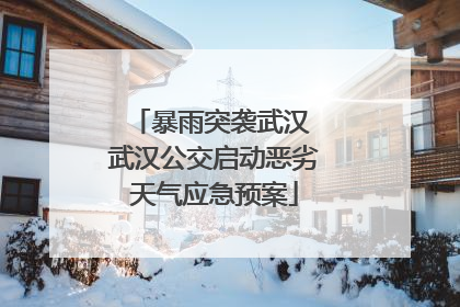 暴雨突袭武汉 武汉公交启动恶劣天气应急预案