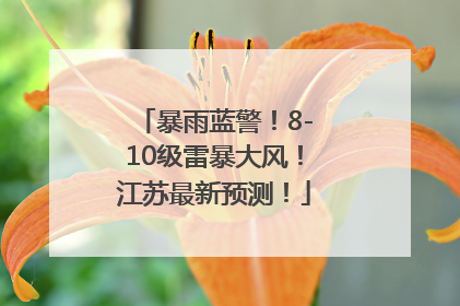 暴雨蓝警！8-10级雷暴大风！江苏最新预测！