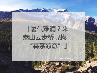 暑气难消？来泰山云步桥寻找“森系凉意”