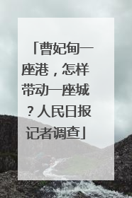 曹妃甸一座港，怎样带动一座城？人民日报记者调查