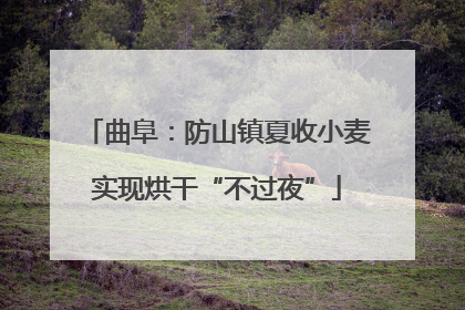 曲阜：防山镇夏收小麦实现烘干“不过夜”