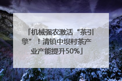 机械强农激活“茶引擎”！清镇中坝村茶产业产能提升50%