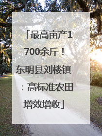 最高亩产1700余斤！东明县刘楼镇：高标准农田增效增收
