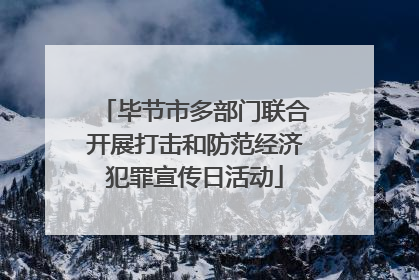 毕节市多部门联合开展打击和防范经济犯罪宣传日活动