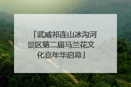 武威祁连山冰沟河景区第二届马兰花文化嘉年华启幕