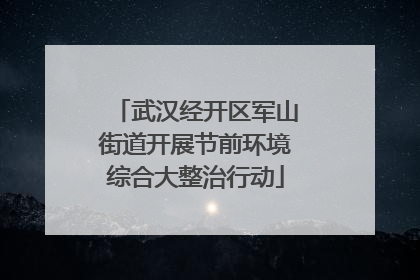 武汉经开区军山街道开展节前环境综合大整治行动