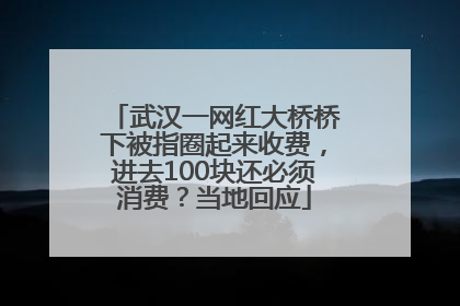 武汉一网红大桥桥下被指圈起来收费，进去100块还必须消费？当地回应