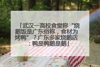 武汉一高校食堂称“烧鹅饭是广东俗称，食材为烤鸭”？广东多家烧鹅店：鸭是鸭鹅是鹅