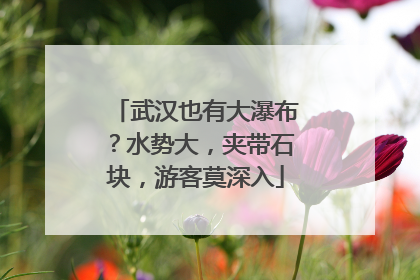 武汉也有大瀑布？水势大，夹带石块，游客莫深入