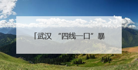 武汉 “四线一口”暴露垃圾基本 “清零”