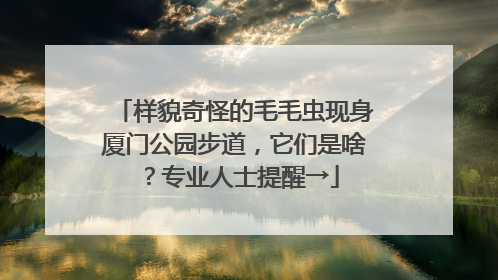 样貌奇怪的毛毛虫现身厦门公园步道，它们是啥？专业人士提醒→