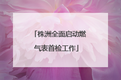 株洲全面启动燃气表首检工作